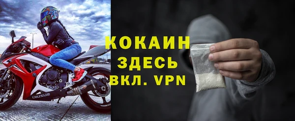 стафф Алзамай