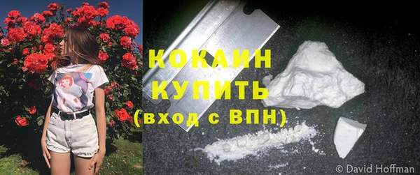 стафф Абинск