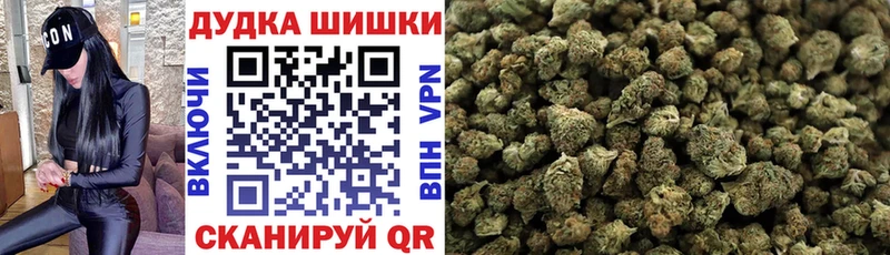 Бошки марихуана THC 21%  hydra ССЫЛКА  Елизаветинская  дарнет шоп 